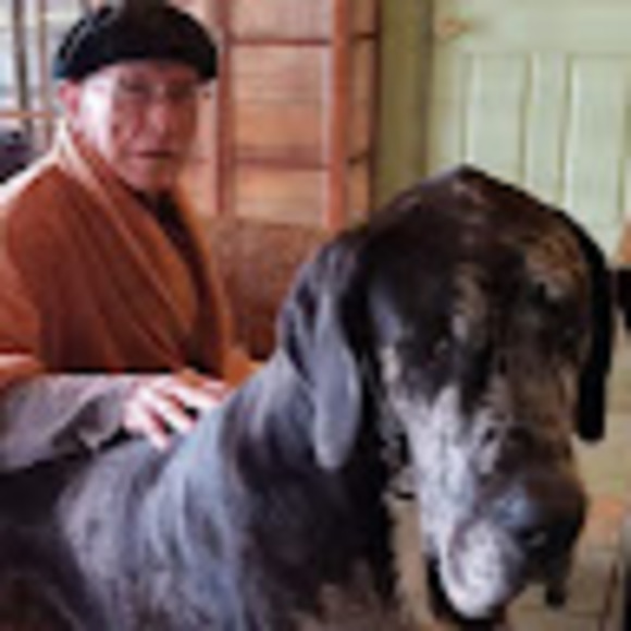 Meet your Posher, Clive a - Picture 1 of 1